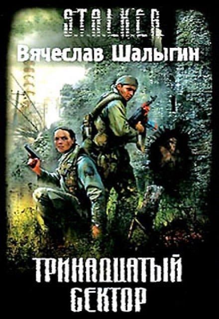 Тринадцатый сектор - Вячеслав Шалыгин