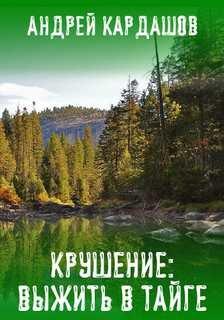 Аудиокнига Крушение: Выжить в Тайге
